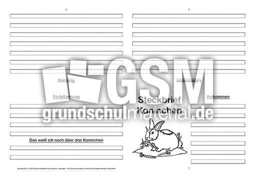 Kaninchen-Faltbuch-vierseitig-1.pdf